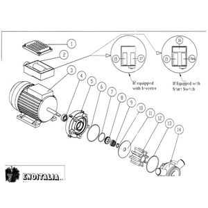 Replacement Capacitor for EnoItalia Euro 30 Pumps