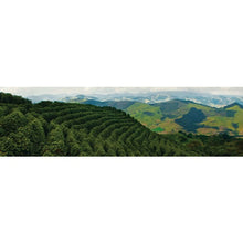 Load image into Gallery viewer, Brazil Minas Gerais Cerrado - Natural Process - Green Coffee Beans