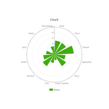 Load image into Gallery viewer, Citra® Brand HBC 394 Hops (Whole Cone) brewmaster 