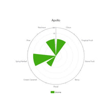 Load image into Gallery viewer, Apollo™ Hops (Pellets) Brewmaster 