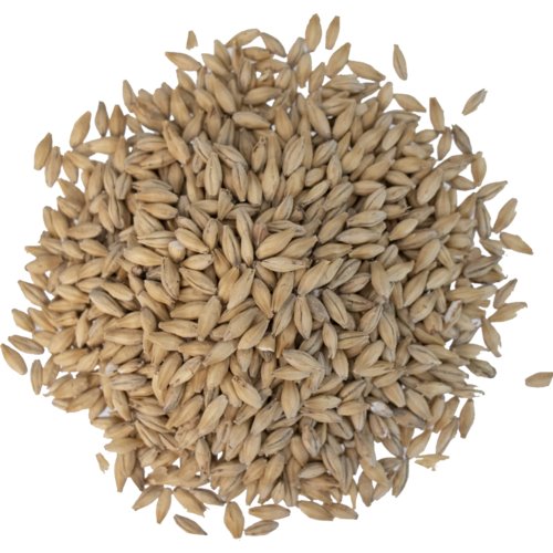 Belgian Pilsner Malt - Dingemans Malting; Two-Row Malt (1 Lb; 5 Lb; 10 Lb; 55 Lb.) Brewmaster 